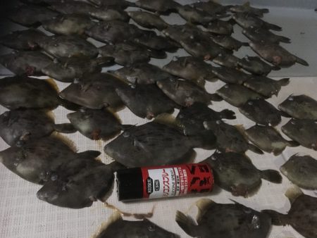 エムズジャーク（M’s JERK） 釣果