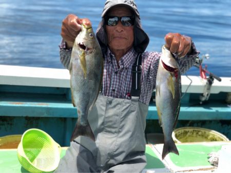丸万釣船 釣果