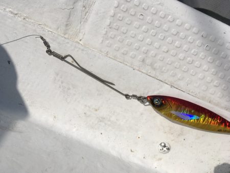 渡船屋たにぐち 釣果