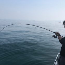 遊漁船メテオ 釣果