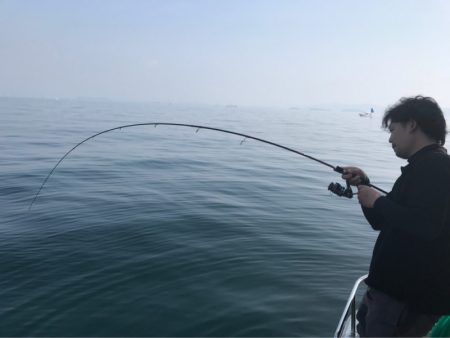 遊漁船メテオ 釣果