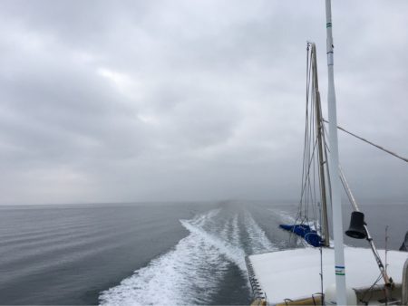 末広丸(熊本) 釣果