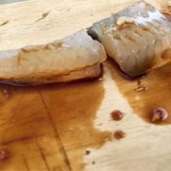 末広丸(熊本) 釣果