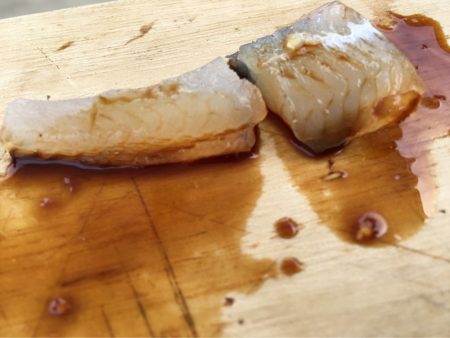 末広丸(熊本) 釣果