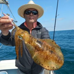 きずなまりん 釣果