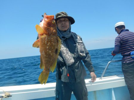 きずなまりん 釣果