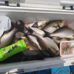 丸万釣船 釣果