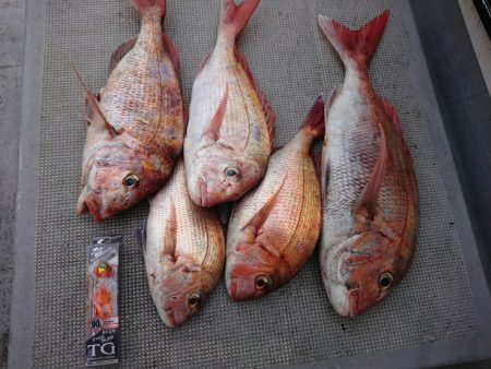 ありもと丸 釣果