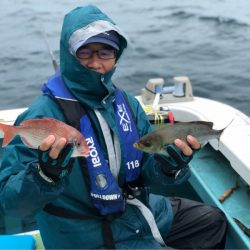 丸万釣船 釣果