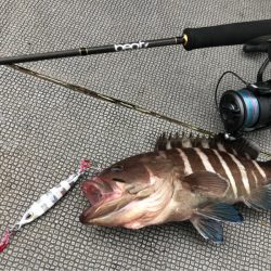 ＴＡＲＯＭＡＲＵ 釣果