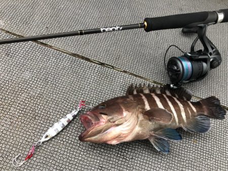 ＴＡＲＯＭＡＲＵ 釣果