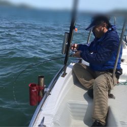 遊漁船メテオ 釣果