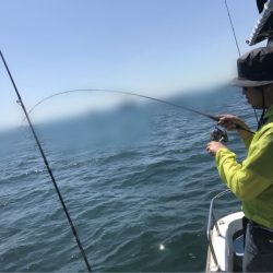 遊漁船メテオ 釣果