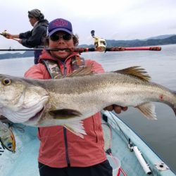 アマテラス 釣果