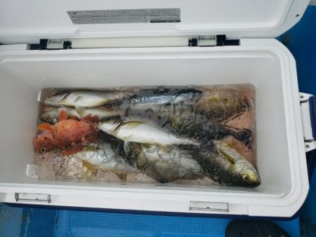 丸万釣船 釣果