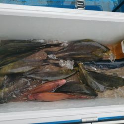 丸万釣船 釣果