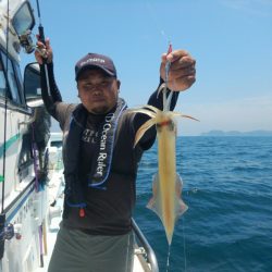 きずなまりん 釣果