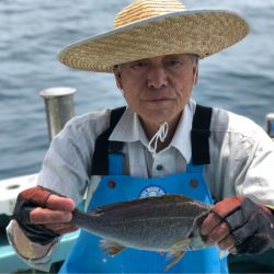 丸万釣船 釣果