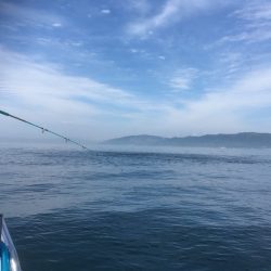 エムズジャーク（M’s JERK） 釣果