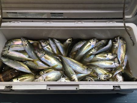 第二八坂丸 釣果