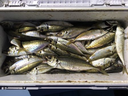 第二八坂丸 釣果