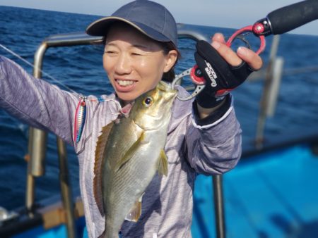 丸万釣船 釣果