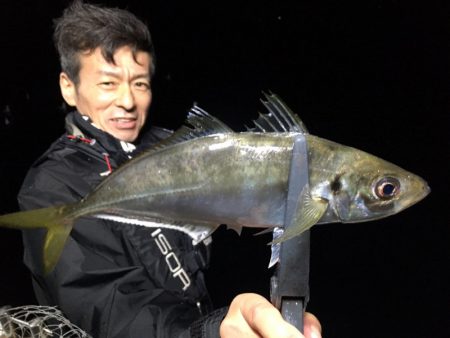 エヌスタイル 釣果