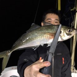 エヌスタイル 釣果
