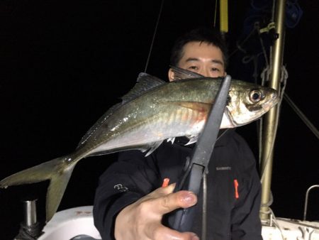 エヌスタイル 釣果