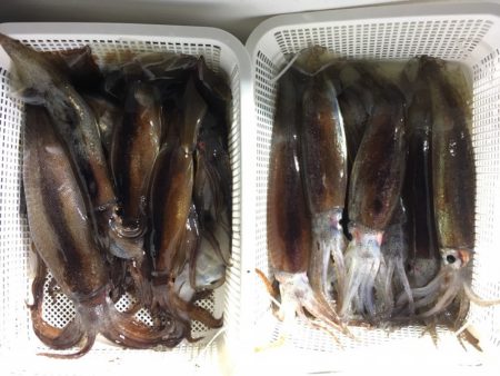 第二八坂丸 釣果