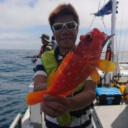 ありもと丸 釣果