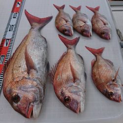 遊漁船 家入 釣果