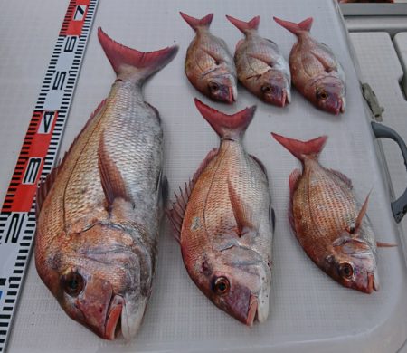 遊漁船 家入 釣果