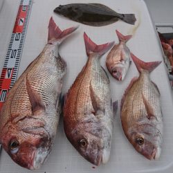 遊漁船 家入 釣果