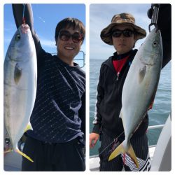 ビッグファイター 釣果