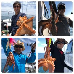 ビッグファイター 釣果