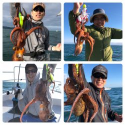 ビッグファイター 釣果