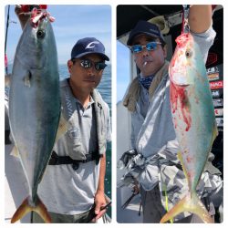 ビッグファイター 釣果