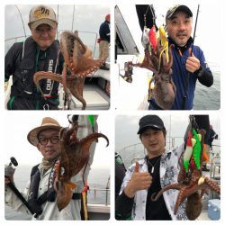 ビッグファイター 釣果