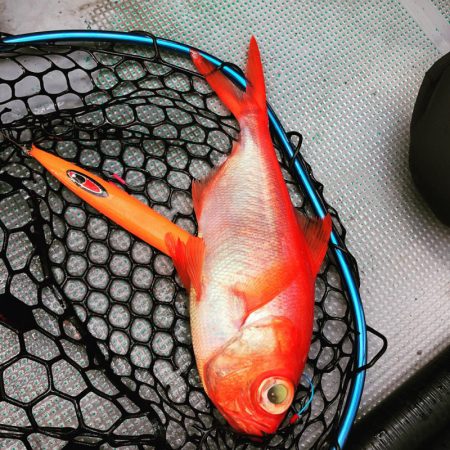 ＴＡＲＯＭＡＲＵ 釣果