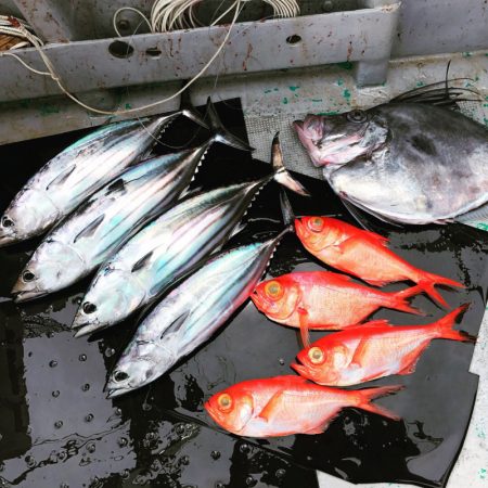 ＴＡＲＯＭＡＲＵ 釣果