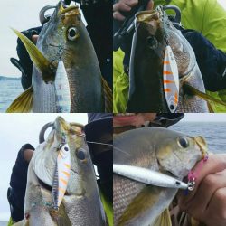 光生丸 釣果