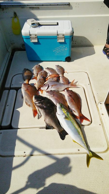 マリンガイド福丸 釣果