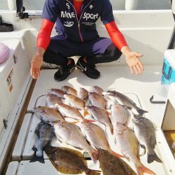 マリンガイド福丸 釣果