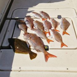 マリンガイド福丸 釣果