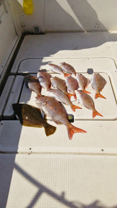 マリンガイド福丸 釣果