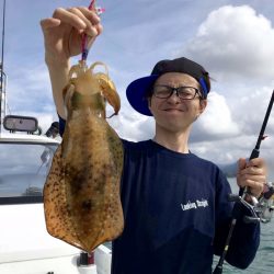 South Current 釣果