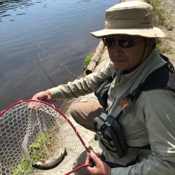 平谷湖フィッシングスポット 釣果