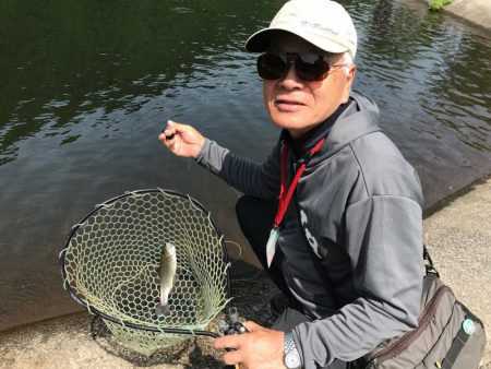 平谷湖フィッシングスポット 釣果