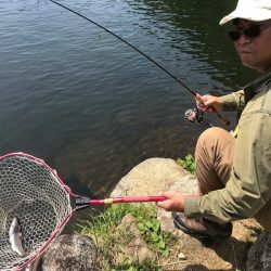 平谷湖フィッシングスポット 釣果